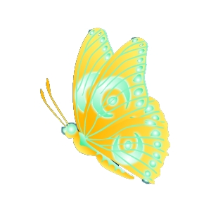 Golden Glow Butterfly